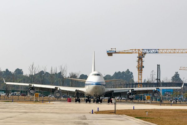 Mastering Birdwatching in the Norfolk Broads: Insider Tips and Expert Guidance