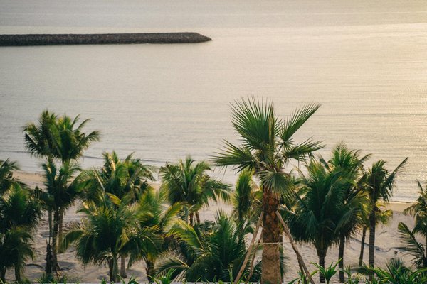 Uncover the best uk campsites offering inspiring arts and crafts retreats